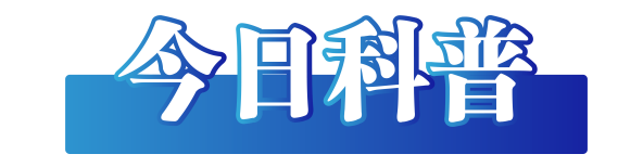 1730767577088.png