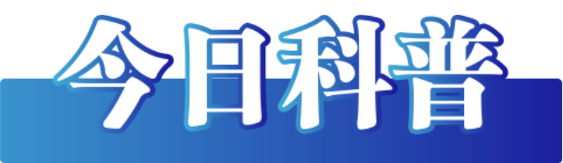 1733099179093.png